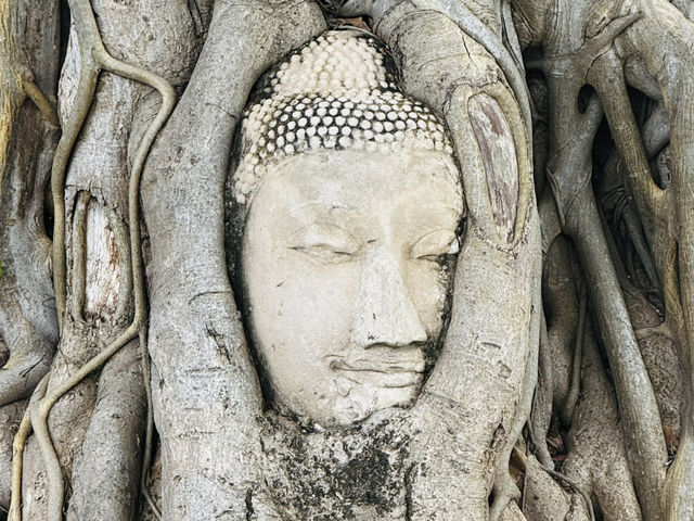 Quick 4 day tour of Bangkok