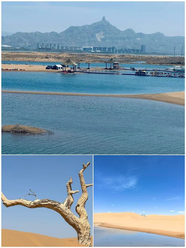 烏海帶娃返嚟喇，講啲難聽大實話