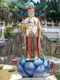 香港 5日遊全攻略