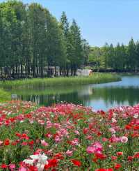 虎丘濕地公園