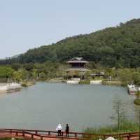 在中山！！假期來金鐘湖公園吸吸氧😌