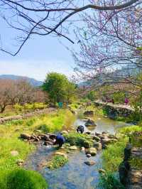 汕尾陸河旅遊匯總 | 小眾寶藏地，快收藏！