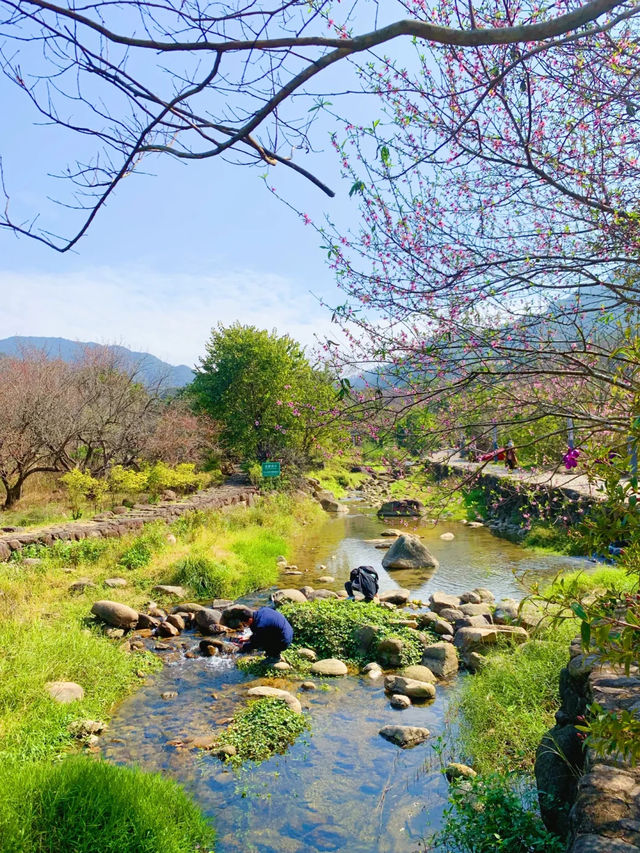 汕尾陸河旅遊匯總 | 小眾寶藏地，快收藏！