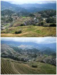 桂之旅丨龍勝龍脊梯田a