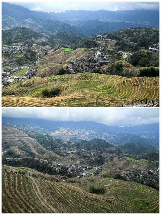桂之旅丨龍勝龍脊梯田a