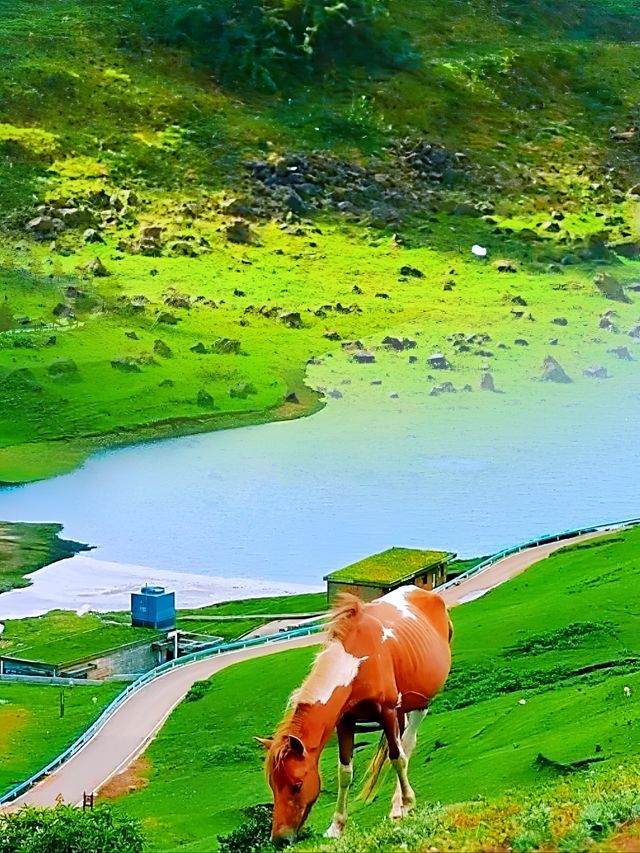 唔好再去熱門地人逼人！嚟六盤水清涼一夏