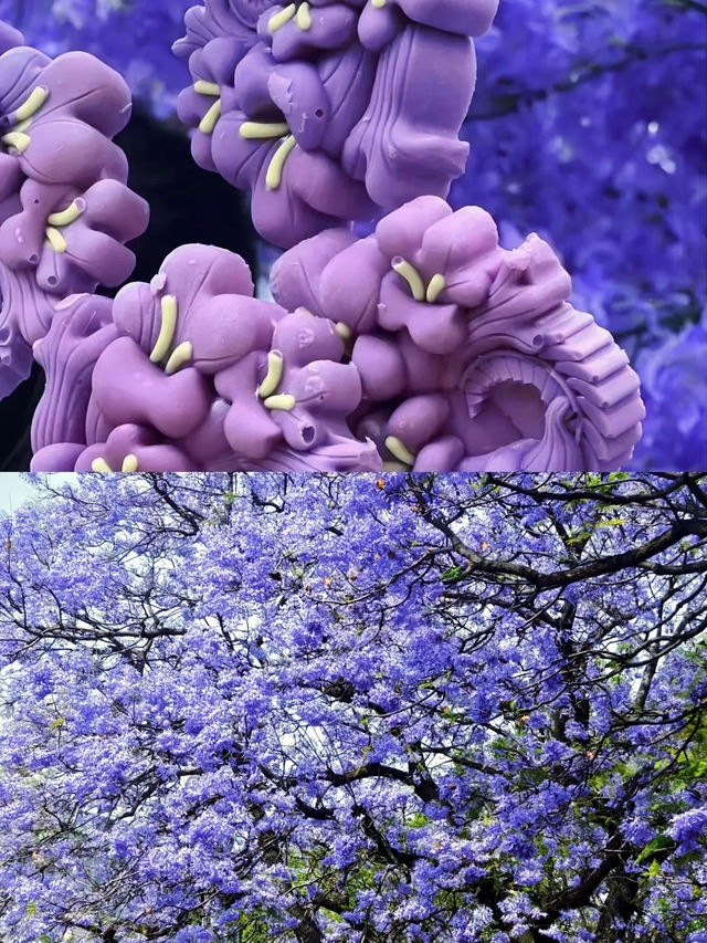 你仲未去過藍到發紫嘅花海㗎嘛？