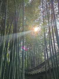 茶竹之城，山水之韻