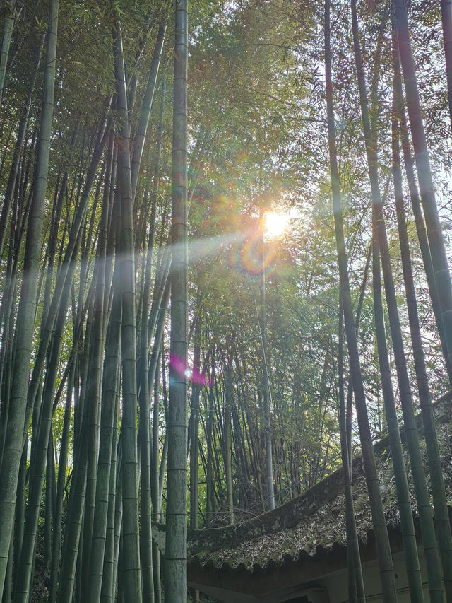茶竹之城，山水之韻