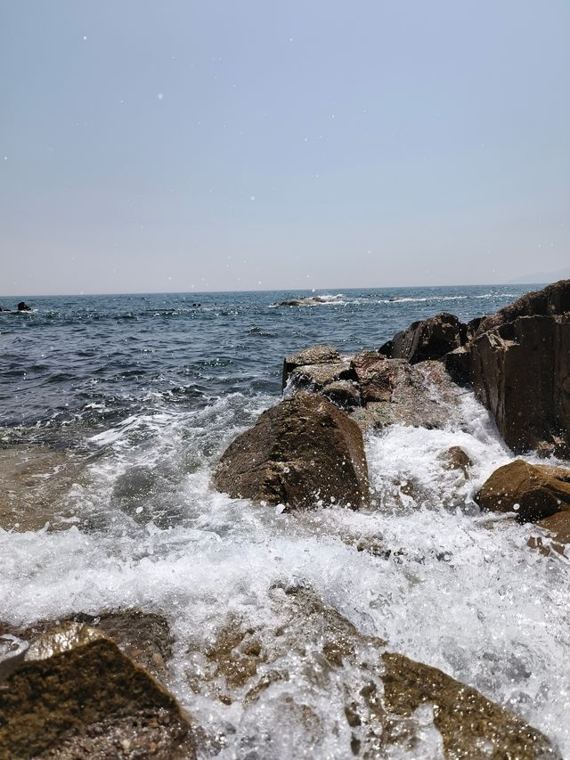 嚟咗仲想再嚟嘅青島美桔