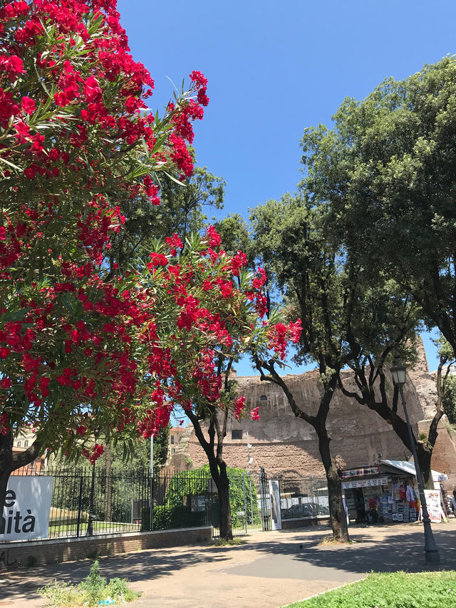 羅馬精品休憩地 | 獨立套房旅館