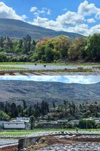 【雲南美景】喺桑嶺村感受大理嘅鄉土生活