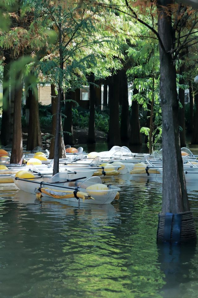 昆明翠湖麗瑞德酒店——昆明海洪濕地公園