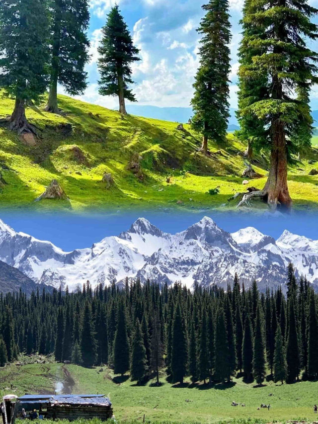 等一年就為咗新疆嘅五月