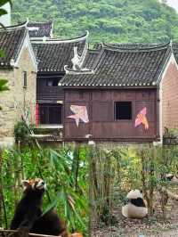 霧之戀山水密碼——穿越茂名嘅山海畫卷！！