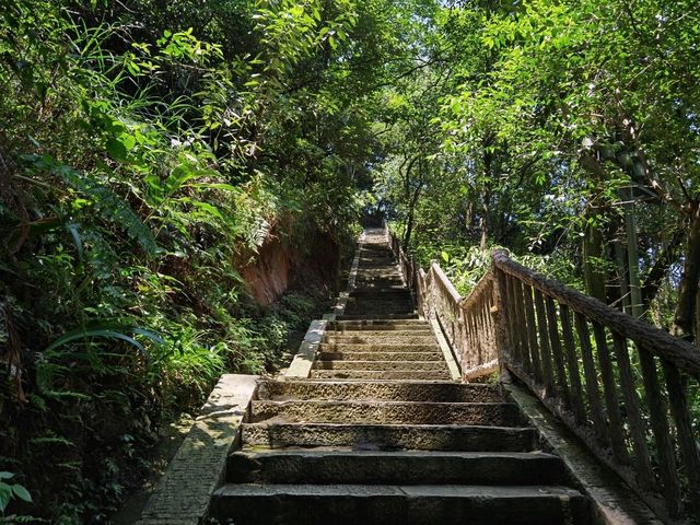 樂山大佛｜千年佛顏臨江瞰世，深度遊玩全攻略