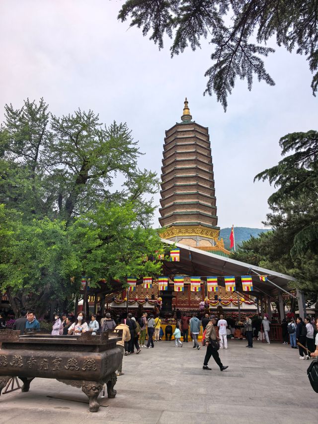 登山，由西山國家森林公園穿越至八大處公園。