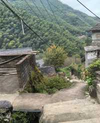 《山靄深處：與簷角苔衣的千年私語》
