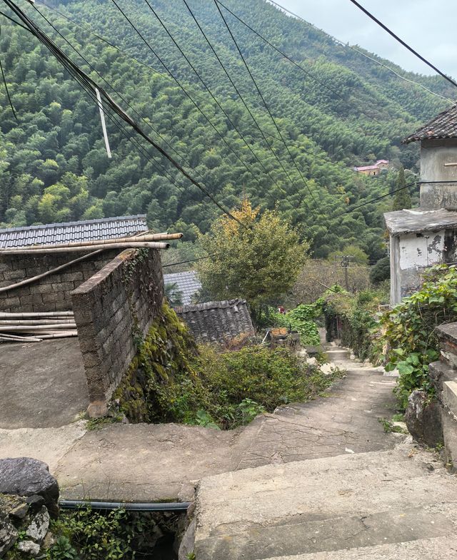 《山靄深處：與簷角苔衣的千年私語》