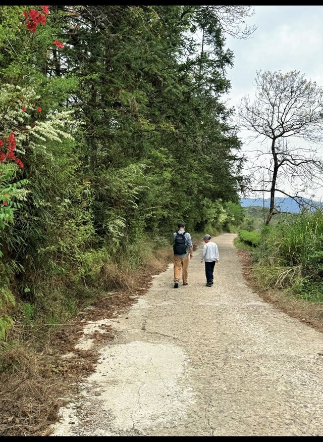 呢座隱世小城，放空行山好去處