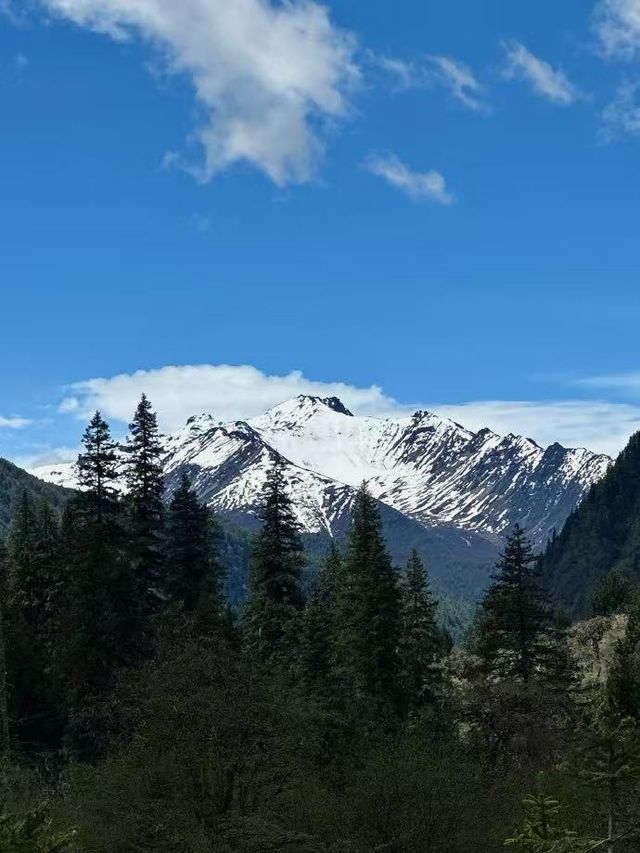 雪山·海子·草甸 | 四姑娘山醉美攻略