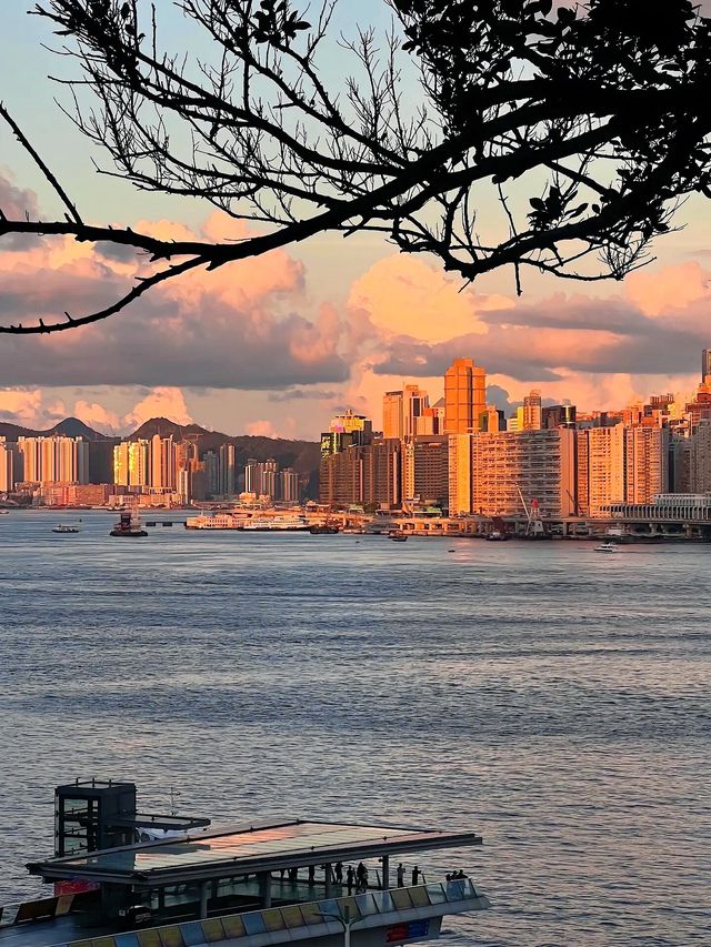 來香港感受電影裡的故事吧