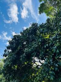 隱於山水，歸於詩意！從化版有風嘅地方……