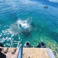 🌊香港「黃茅洲」｜隱世玻璃海！一秒穿越馬爾代夫～