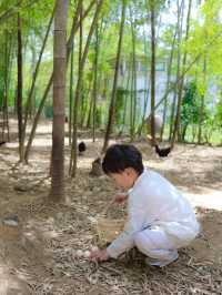 常州溧陽加順農場 | 藏喺田園間嘅親子趣玩