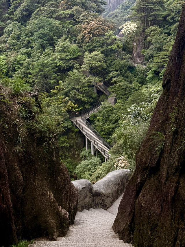 上饒三清山｜住進三清宮畔的秘境聖地之中