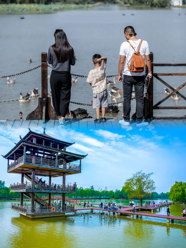 高考後必衝台兒莊古城！超詳細遊玩攻略