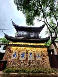 🌳《一棵金樹與一場柔軟的邂逅──我的惠山古鎮漫行記》