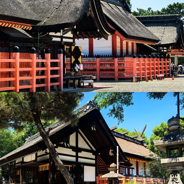 大阪住吉大社｜穿越時空的千年古建秘境✨