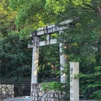 大阪必打卡！穿越時空的大阪城公園一日漫遊攻略✨
