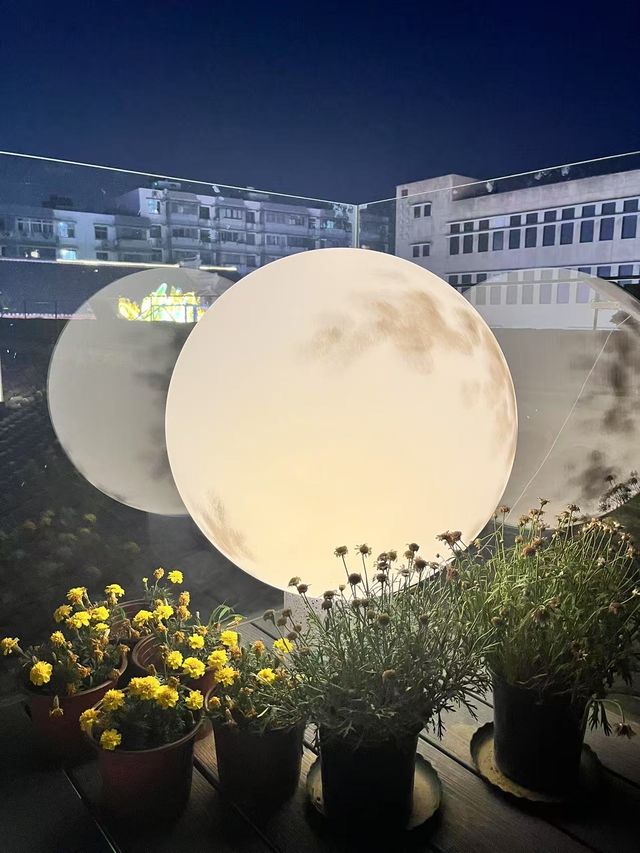 住花築門東，享青磚黛瓦間嘅詩意棲居！