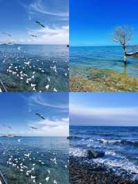 擁抱青海湖嘅自由與浪漫呢份攻略請收藏！