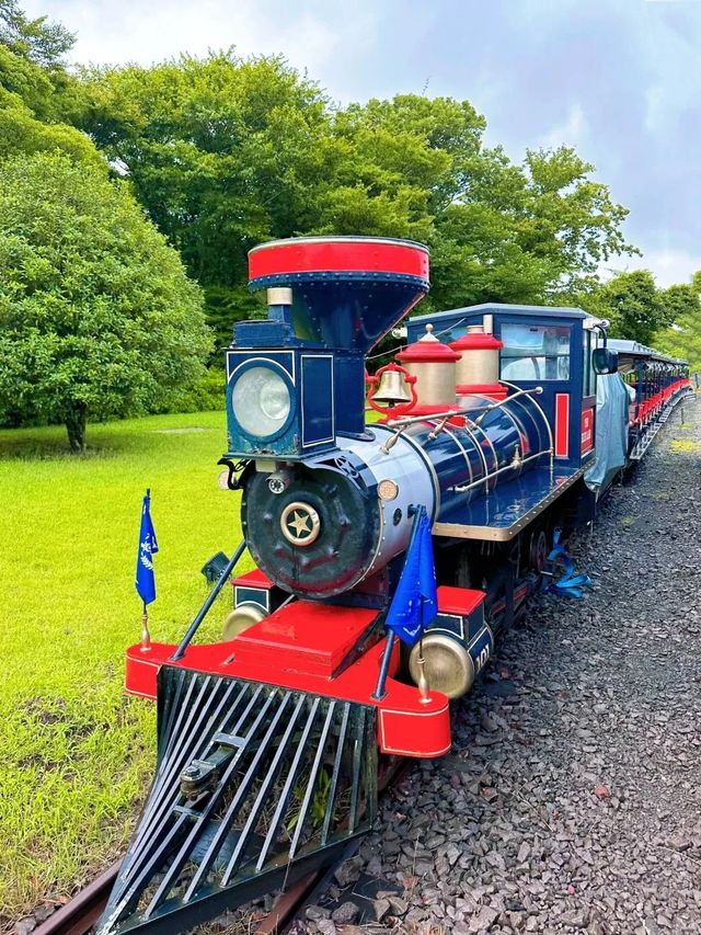 濟州東線景點大全