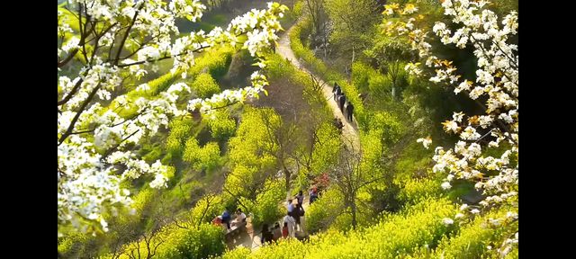 邂逅篁嶺，赴一場夢幻的田園之約   踏入篁嶺，彷彿穿越時空，走進了一幅被歲月珍藏的江南畫卷。連綿的山