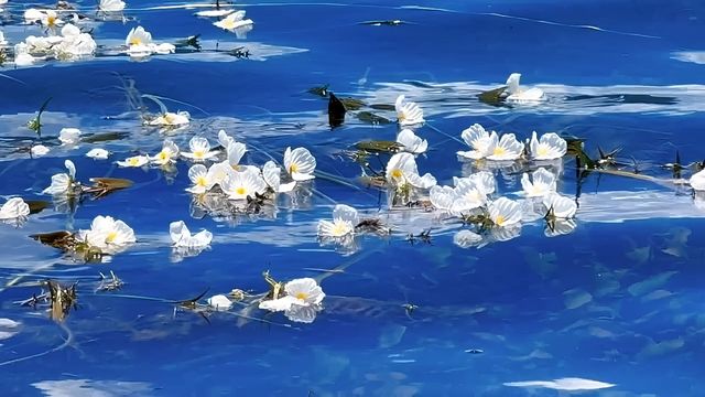 瀘沽湖之旅歸來，真心建議未出發嘅姊妹們