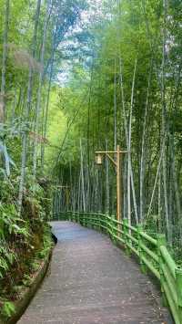 馬安竹海夏至避暑之旅攻略