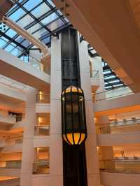 Singapore Orchard Road Conrad Hotel 🇸🇬 is worth staying