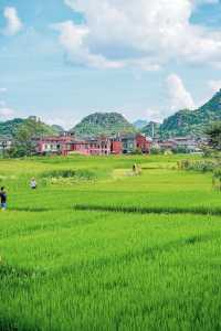 探秘普者黑：青龍山觀景指南