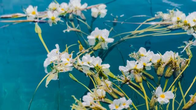 瀘沽湖·神仙棲居嘅秘境！全網最全環湖攻略！！