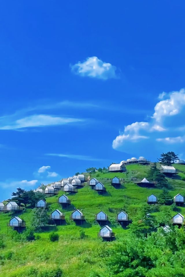 湖北「小阿勒泰」21℃夏天爽到飛起