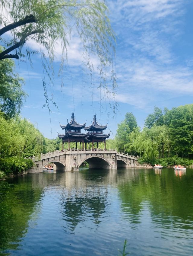 誤入森林秘境/盛夏時節嘅古華園