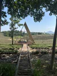 🧘🏽‍♀️🏕️Nature and Fresh Air with Views in Anji 🍀🌴