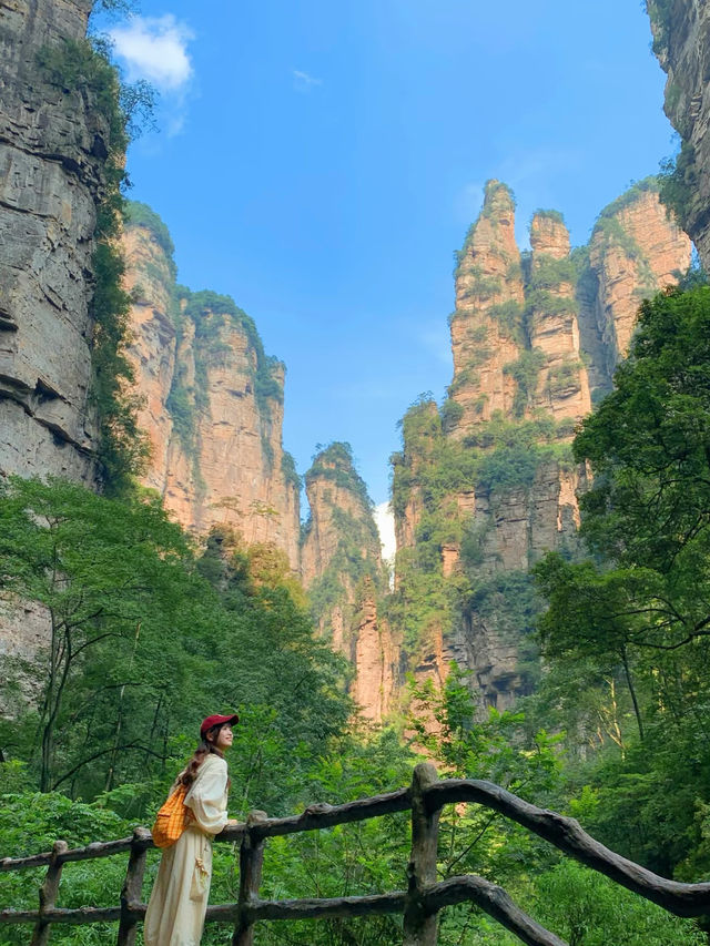 張家界必去峽谷秘境 天生壯觀