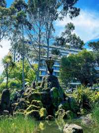 冬季反向旅遊|去墨爾本睇爛漫嘅鮮花