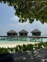 Magical Week at Lux: A Honeymoon to Remember
