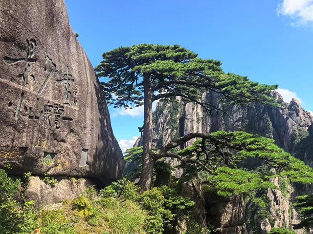 黃山歸來不看岳